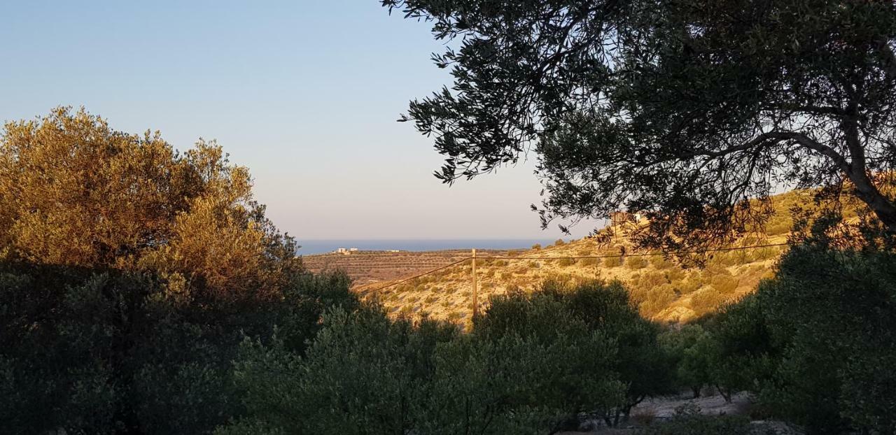 Affittacamere To Spiti Tou Papa Sto Vouno Kamilari Esterno foto